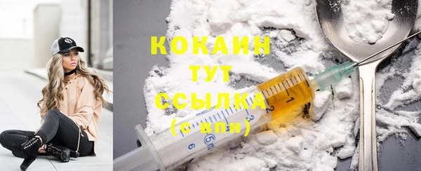 прущие крисы Инта