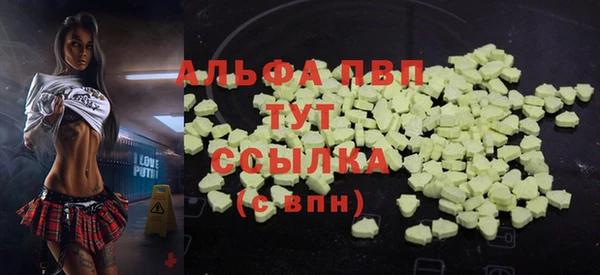прущие крисы Инта