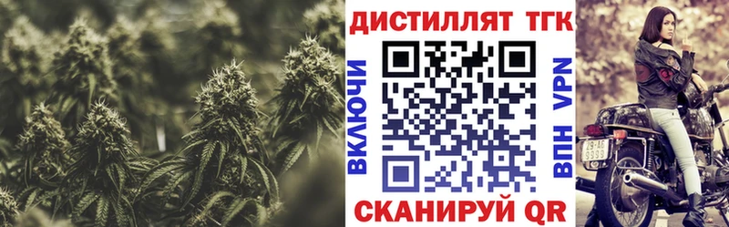 Купить где Ковдор ТГК концентрат